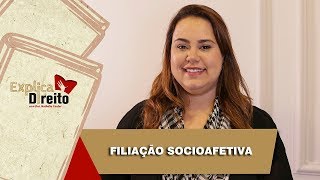 Explica Direito Filiação Socioafetiva  2019 [upl. by Tamarah298]