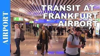 TRANSIT WALK AT FRANKFURT Airport FRA Terminal 1  Connection Flight Transfer Arriving amp Departing [upl. by Aynotel]